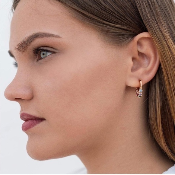 Gold 14k Gold Plated Tassel Colorful Cubic Zirconia Hoop Earrings - Picture 3 of 3